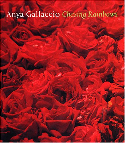 Chasing Rainbows  - Anya Gallaccio