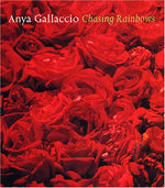 Chasing Rainbows  - Anya Gallaccio