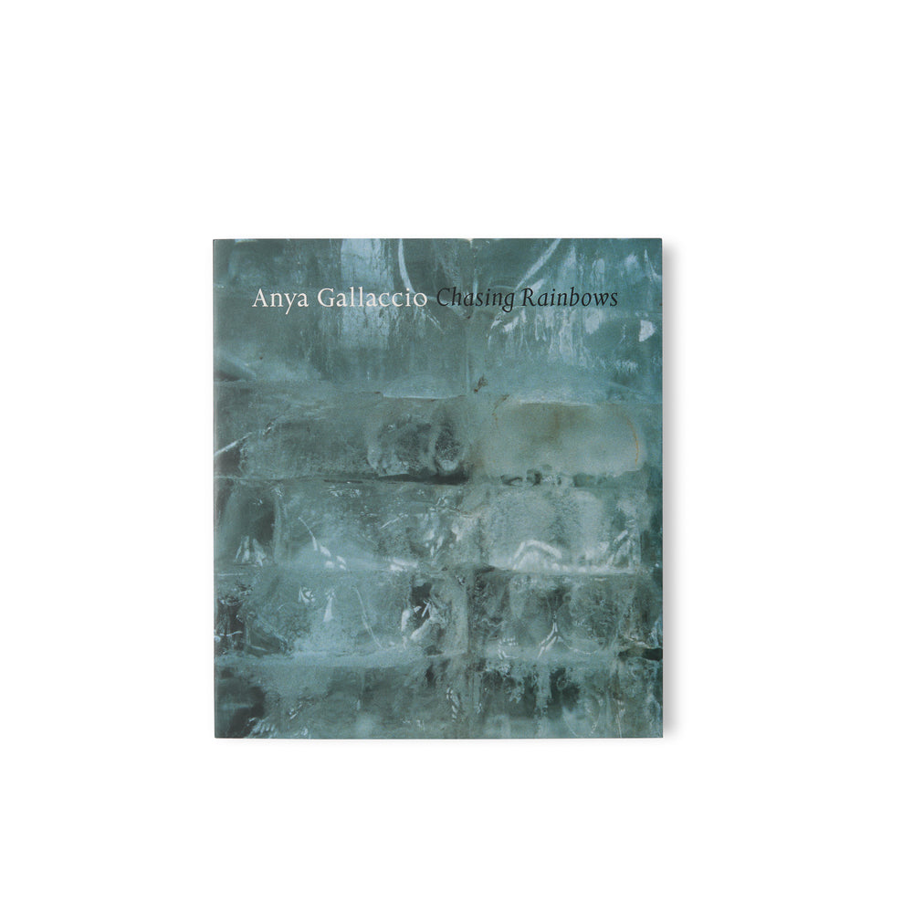 Chasing Rainbows - Anya Gallaccio
