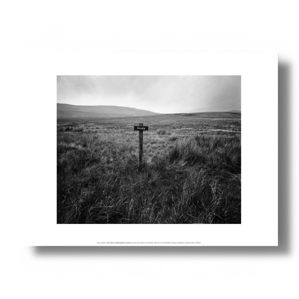 Fay Godwin, The Duke of Westminster's Estate Art Print