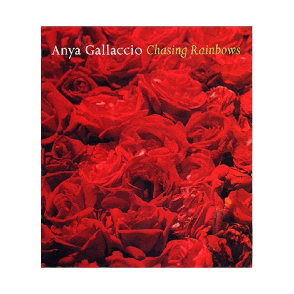 Chasing Rainbows  - Anya Gallaccio