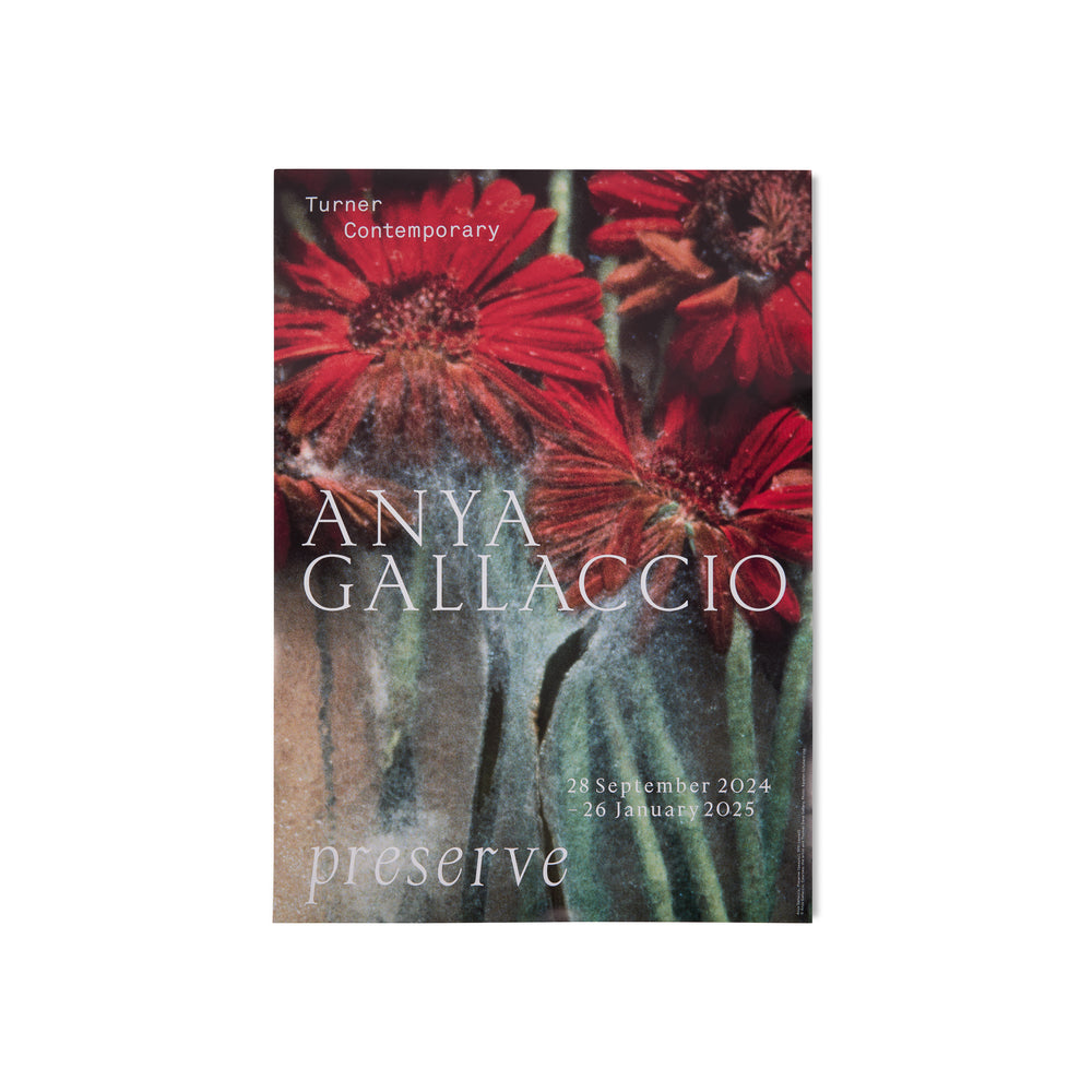 Anya Gallaccio, Preserve Exhibition Poster
