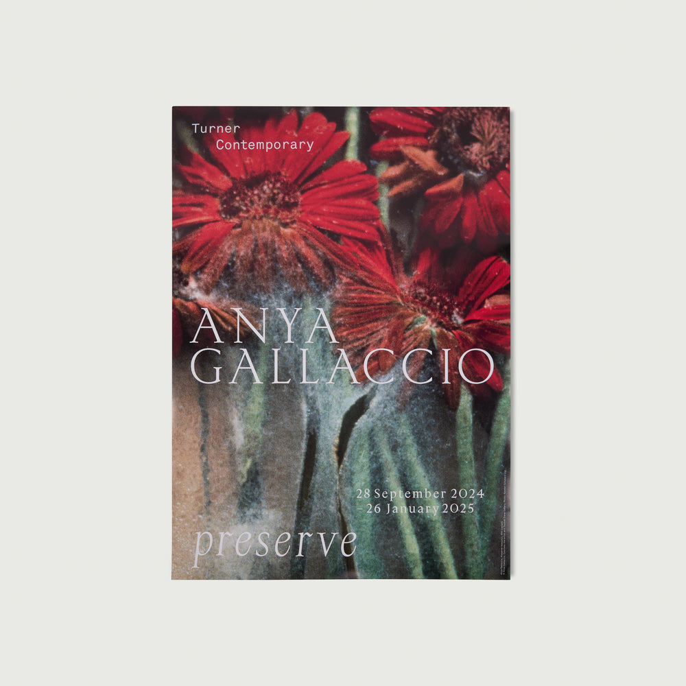 Anya Gallaccio Preserve Exhibition Poster