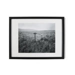 Fay Godwin, The Duke of Westminster's Estate Framed Art Print