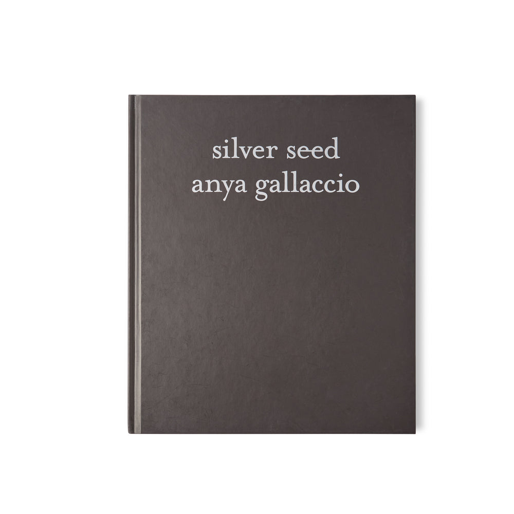 Silver Seed - Anya Gallaccio