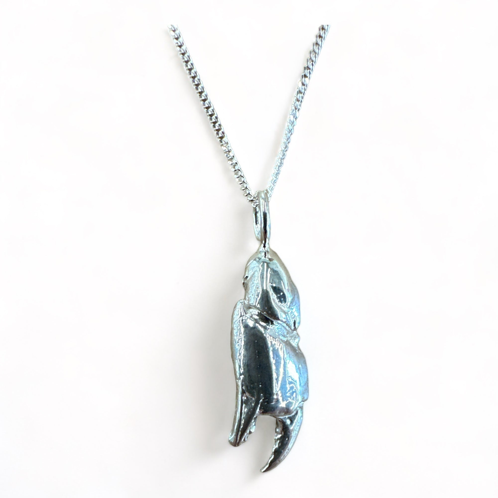 Crab claw silver pendant. | NZ sea life | Bob Wyber Jewellery Artist
