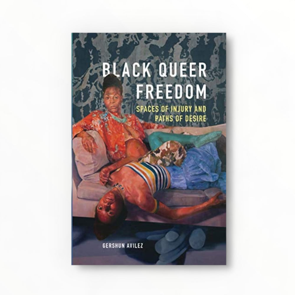 Black Queer Freedom: Spaces of Injury and Paths of Desire - New Black Studies Series