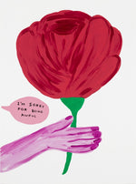 FRAMED - I'm Sorry For Being Awful (2019) - David Shrigley