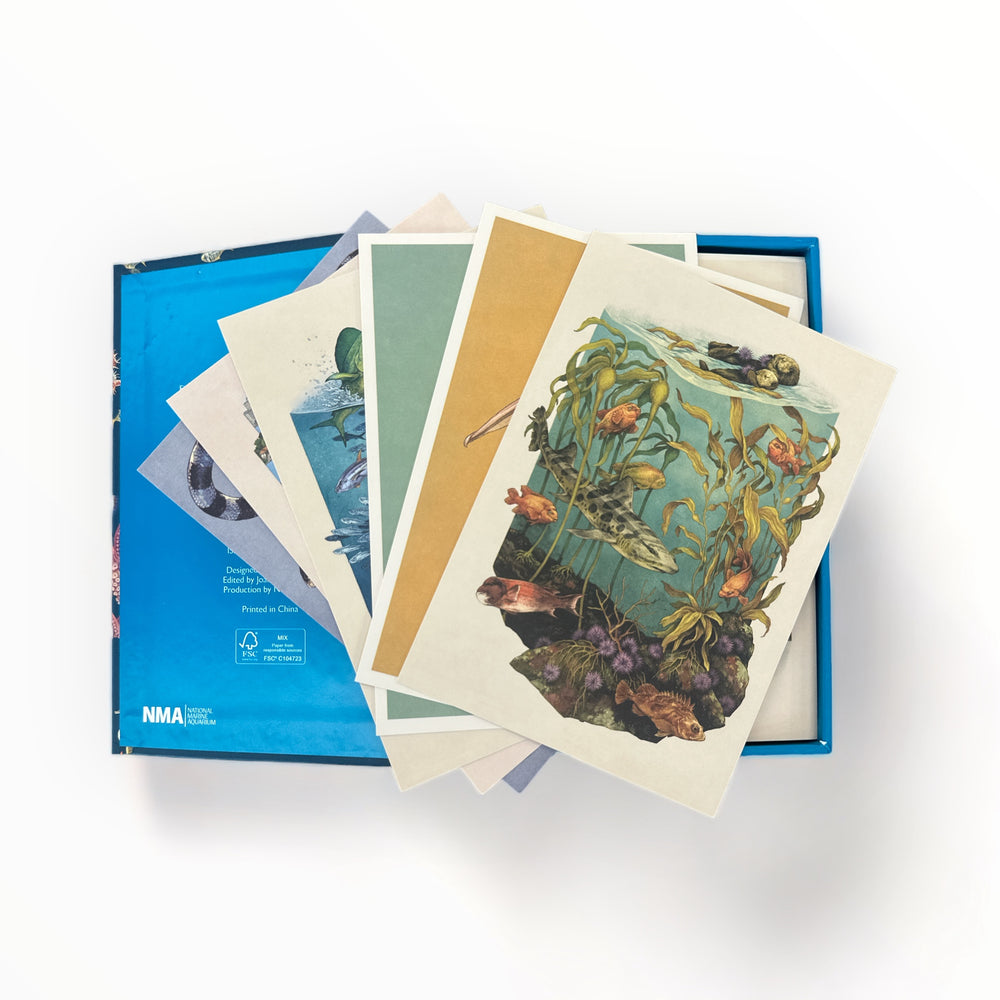Oceanarium Postcards