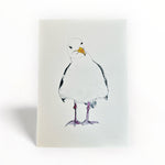 Grumpy Seagull A4 giclee print