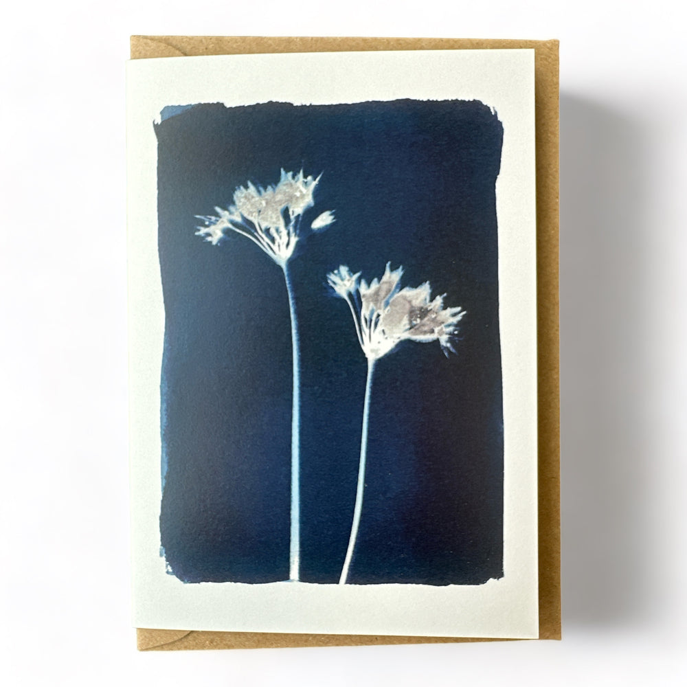 Wild Garlic Greetings Card